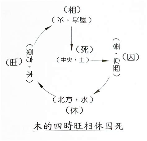 旺相休囚死|五行旺相休囚詳細解釋